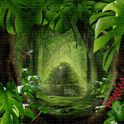 Y.A.M._Fantasy jungle forest background - zdarma png