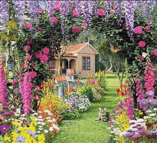 Rena garden background - gratis png