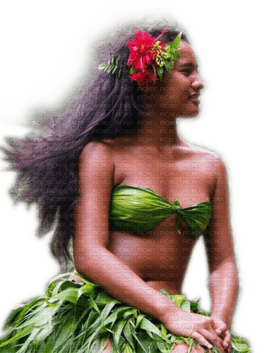 Rena Hawaii Woman Frau Girl - PNG gratuit