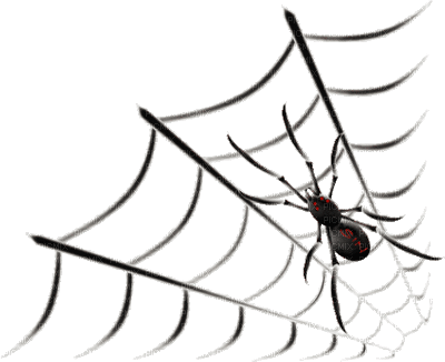 spider web bp - 無料のアニメーション GIF