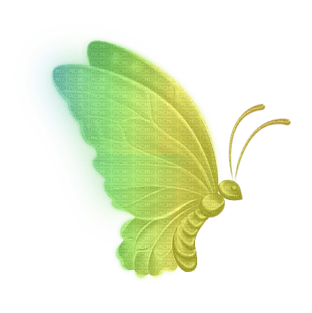 Schmetterling butterfly - безплатен png