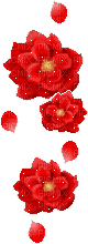 d-flowers - 免费动画 GIF