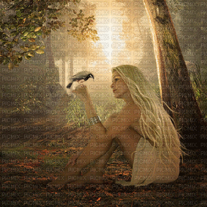 femme oiseau - Δωρεάν κινούμενο GIF