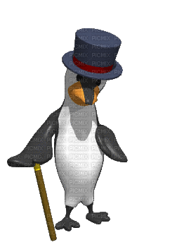 Pinguïn - Animovaný GIF zadarmo