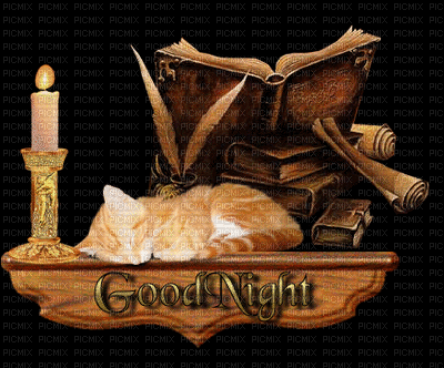bonne nuit - 免费动画 GIF