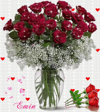 Rosas bellas 1 - GIF animado gratis