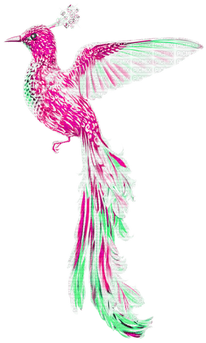 Fantasy.Bird.Pink.Green - gratis png