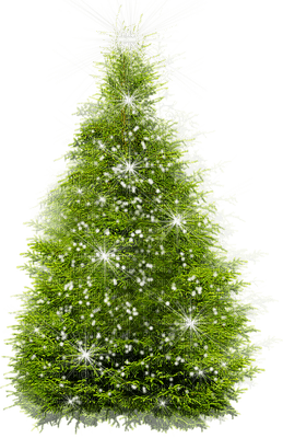 Christmas tree - zdarma png