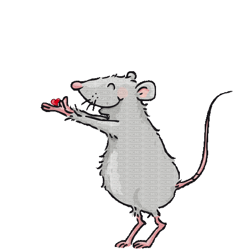 Love Rat - GIF เคลื่อนไหวฟรี