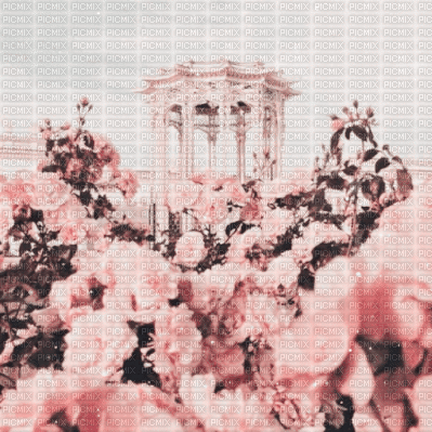 Vintage Rose Garden Background - Darmowy animowany GIF
