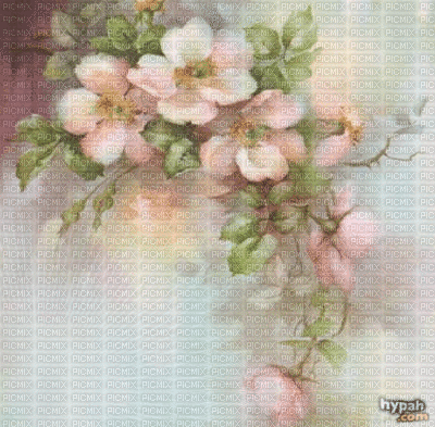 background flower<уνσηηєℓℓα> - Darmowy animowany GIF