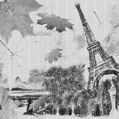 Y.A.M._Autumn background Paris city black-white - GIF animado gratis