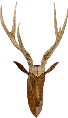 deer head - png gratis