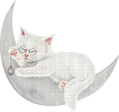 Kaz_Creations Cats Cat Kittens Kitten - PNG gratuit