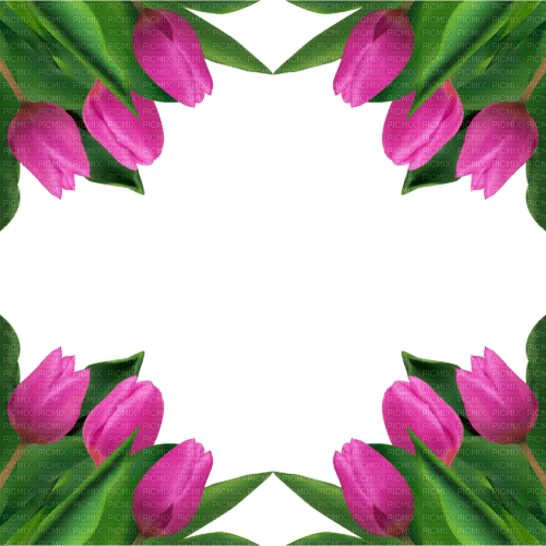 Pink Tulips Frame - Free PNG