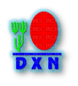 DXN - png grátis