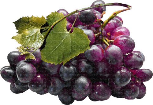 виноград - zdarma png