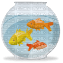 red fish - бесплатно png