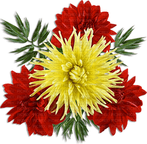 soave deco flowers  Chrysanthemums red yellow - ücretsiz png