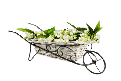 flowers lily of the valley bp - besplatni png