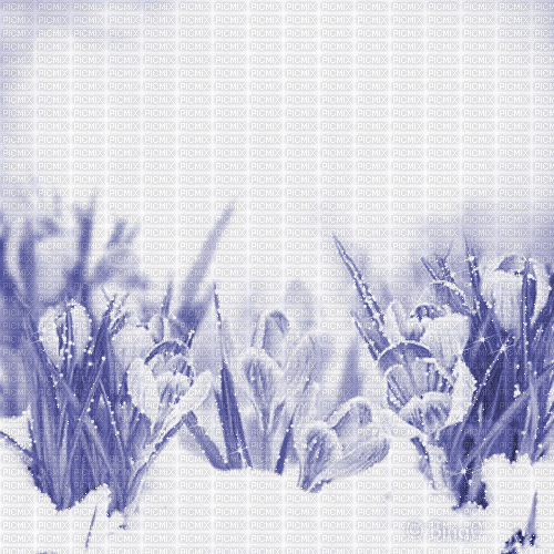Y.A.M._Spring background blue - Gratis animeret GIF