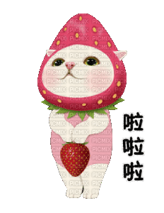 strawberry cat - Gratis animerad GIF