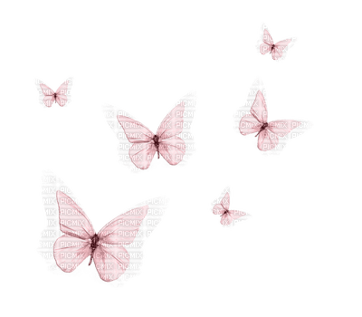butterflies anastasia - 無料png