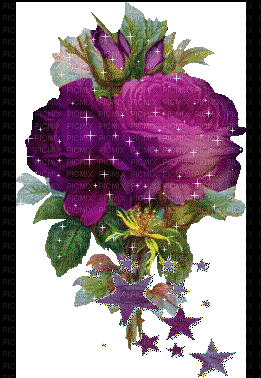 Fleurs - Besplatni animirani GIF
