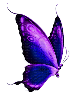 Kaz_Creations Deco Butterfly Colours - 無料png