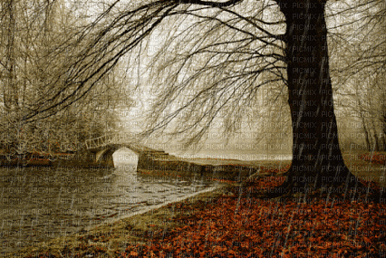 Pluie d'automne - Free animated GIF