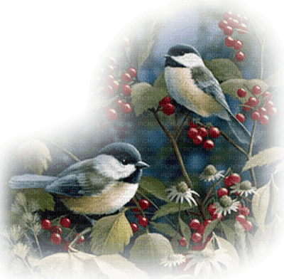 birds autumn oiseaux automne - ücretsiz png