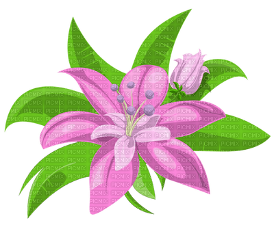 Kaz_Creations Flowers Deco Flower Colours - безплатен png