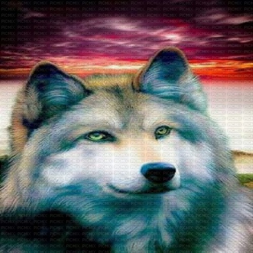 wolf - Free PNG