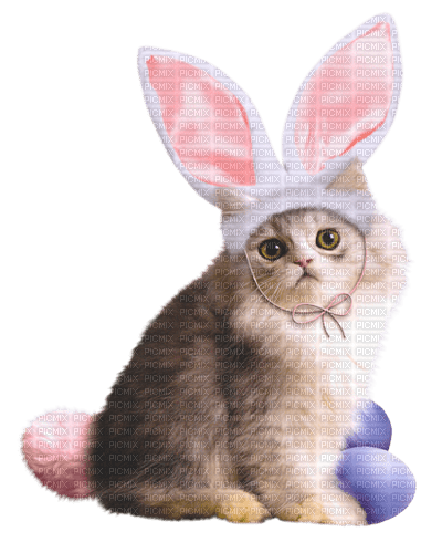 Y.A.M._Easter - zadarmo png