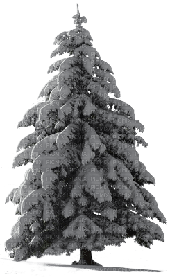 christmas_tree_snow-wan-snö-vinterinter-julgran - png ฟรี