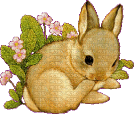 zajaczek - darmowe png
