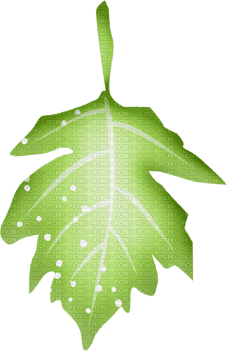 dolceluna deco green leaf - PNG gratuit