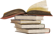 minou-deco-böcker-books-book-bok - 免费PNG