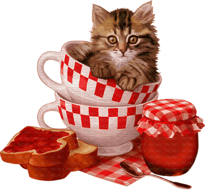cat in cup bp - ingyenes png