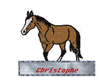 christophe - Бесплатный анимированный гифка