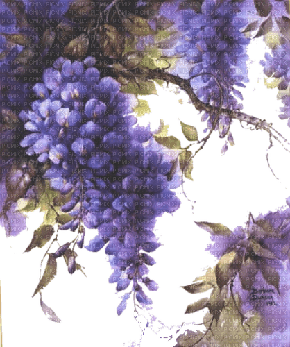 blommor--flowers--lila--purple - png ฟรี