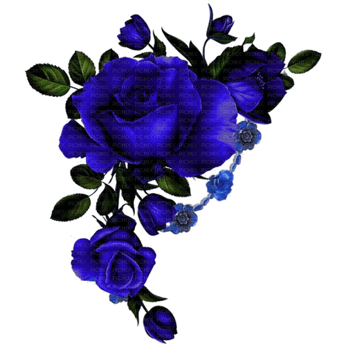 Roses - Free PNG