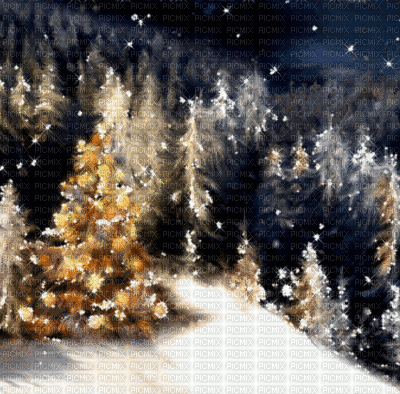 paysage,forest , night, winter,gif, Pelageya - GIF animado gratis