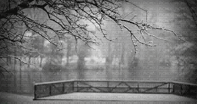 winter snow nature background - Animovaný GIF zadarmo