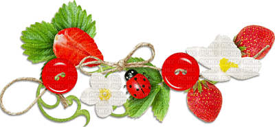soave deco strawberry branch red green - фрее пнг