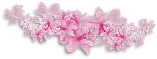 flowers ❤️ elizamio - kostenlos png