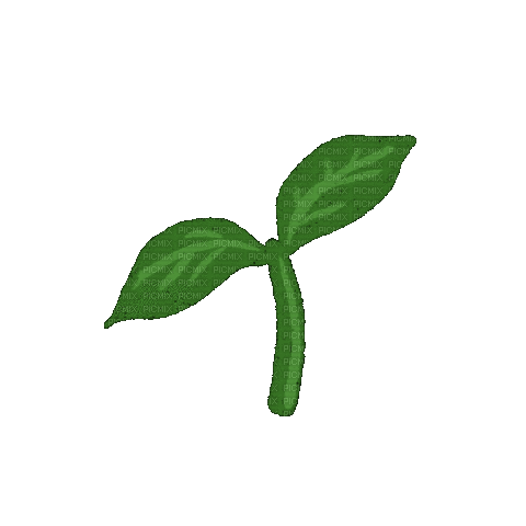 Spring Plant - Ilmainen animoitu GIF
