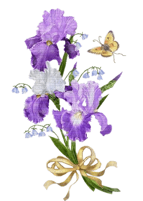 Fleurs.Iris.Orchid.purple.Victoriabea - 無料png
