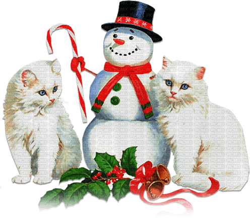 soave cat christmas winter animals deco friends - 無料png