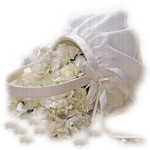 White Flower Basket - ingyenes png
